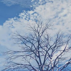 不打马赛手抓欧派二次元
