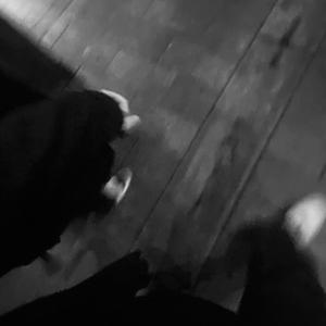 插B赤裸裸的性交
