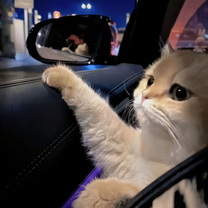 无码A片啊灬啊用力灬嗯灬漫画
