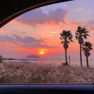 非洲肥胖老妇女内射视频
