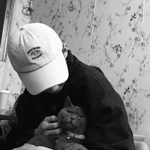 苍老师巅峰之作第24集播放
