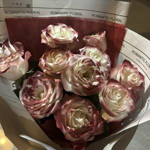 校园肉文合集呻吟网站
