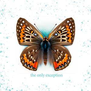 男人添女人萌蒂图片
