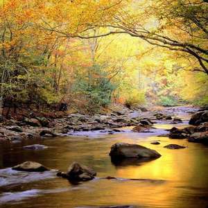 3D全彩漫画魂叔母游戏
