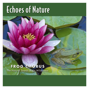 大鸡巴猛插妹妹小洞到高潮跌起
