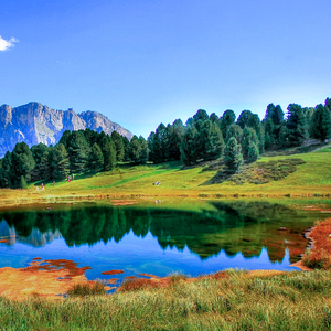 大鸡巴猛插妹妹小洞到高潮跌起
